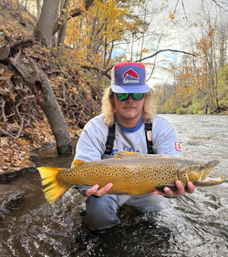 Trout and salmon galore in NY rivers!
